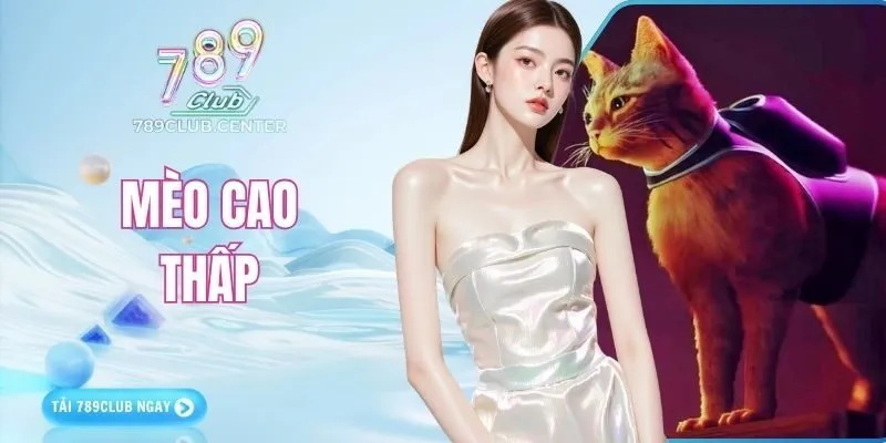 Mèo Cao Thấp - Cách Chơi Đơn Giản Và Chiến Thuật Dự Đoán